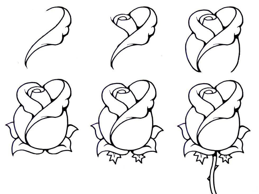 10 easy tutorials how to draw a rose - How To Draw Tutorials