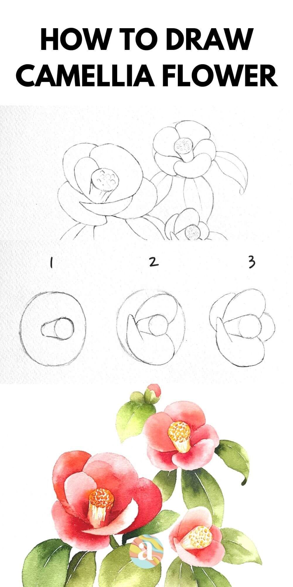 Simple Camellia Drawing Iris Coloring Flower Printabl - vrogue.co