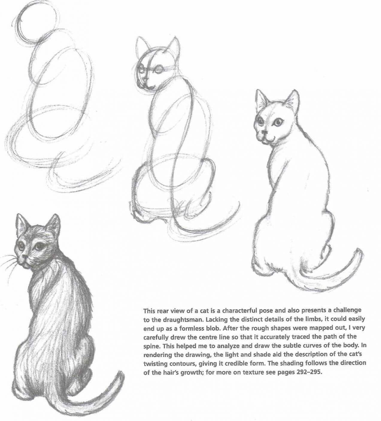 12 easy tutorials how to draw a cat - How To Draw Tutorials