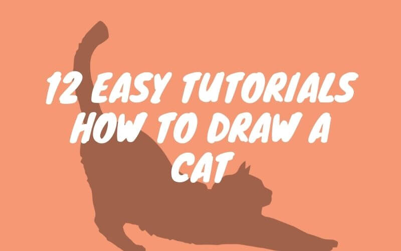 12 easy tutorials how to draw a cat - How To Draw Tutorials