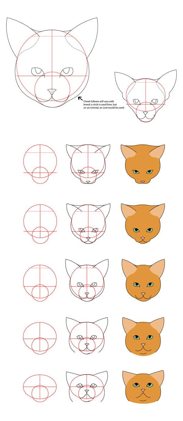 12 easy tutorials how to draw a cat - How To Draw Tutorials