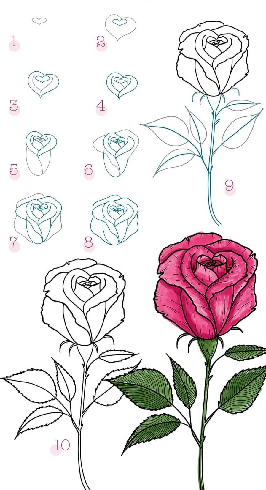 10 easy tutorials how to draw a rose - How To Draw Tutorials