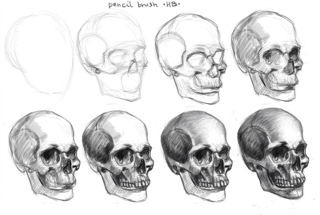 7 easy tutorials how to draw a skull How To Draw Tutorials