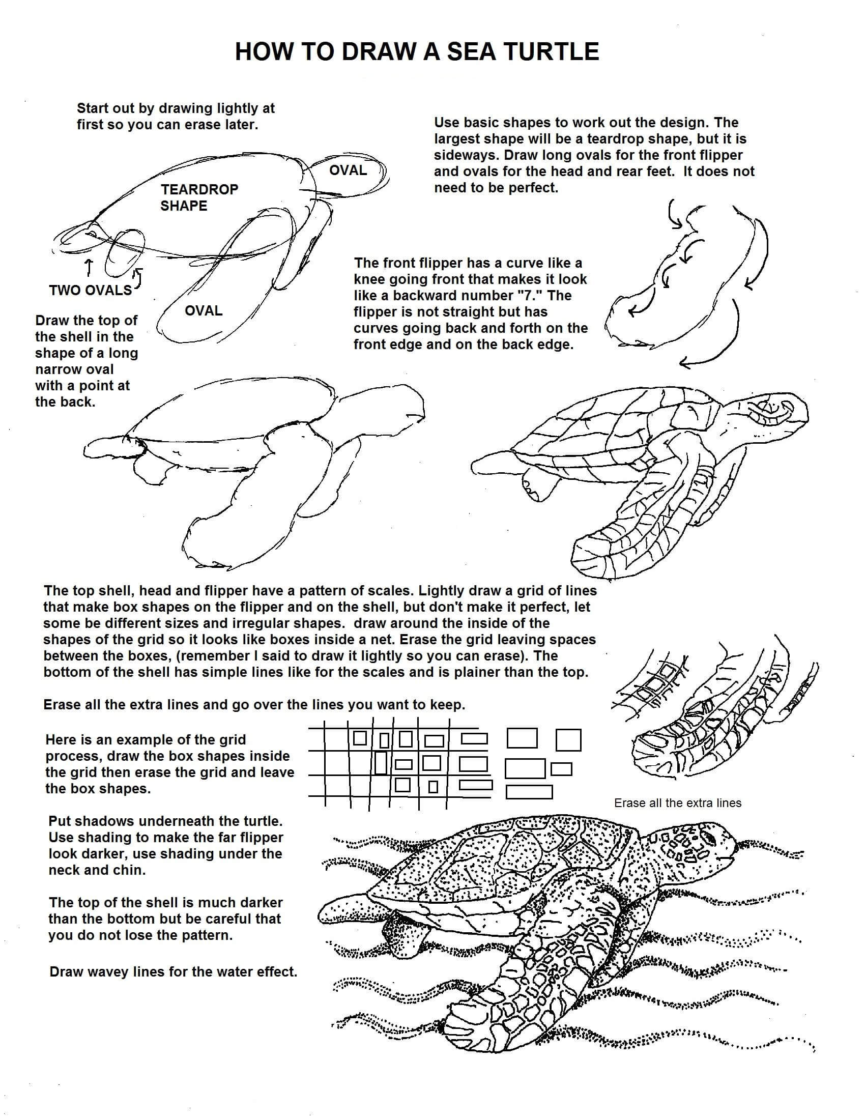 6 easy tutorials how to draw a sea turtle - How To Draw Tutorials